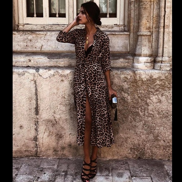 NWT Zara Animal Print Dress - Picture 4 of 8